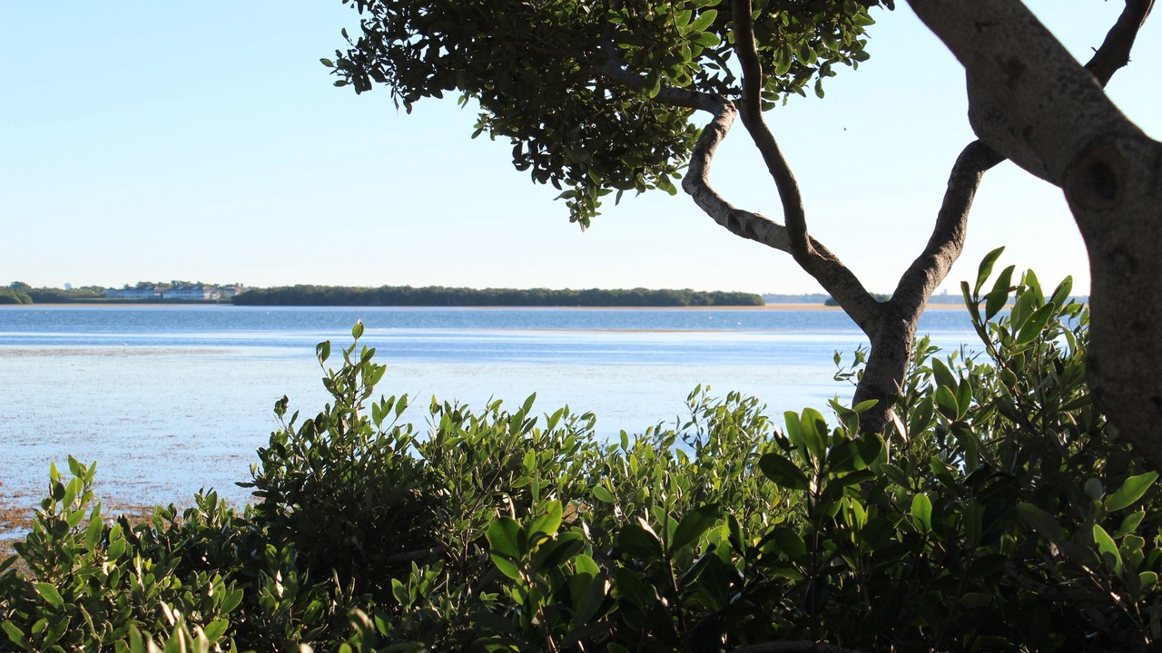 Photo of Others in Bradenton Beach