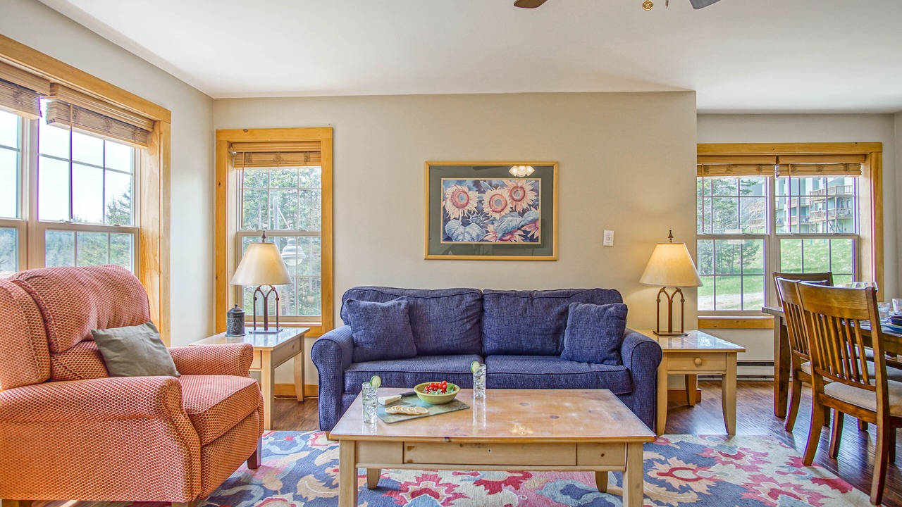 Photo of Livingroom in Snowshoe