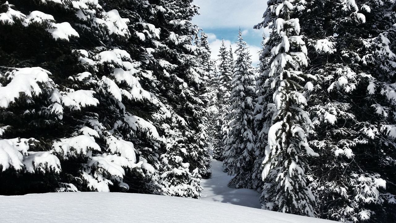 Photo of Outdoor in Silvercreek