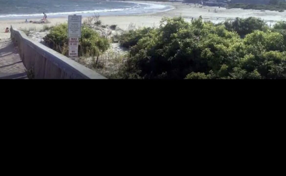Photo of Others in Bonnet Shores