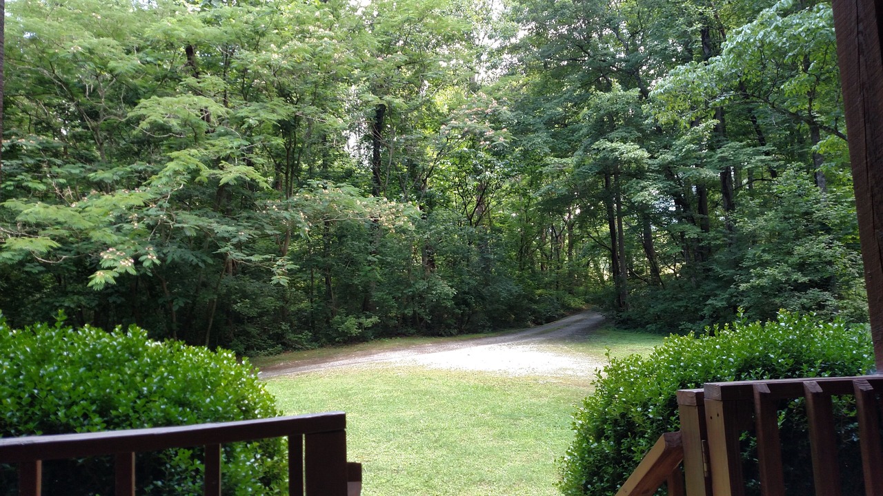 Photo of Outdoor in Townsend