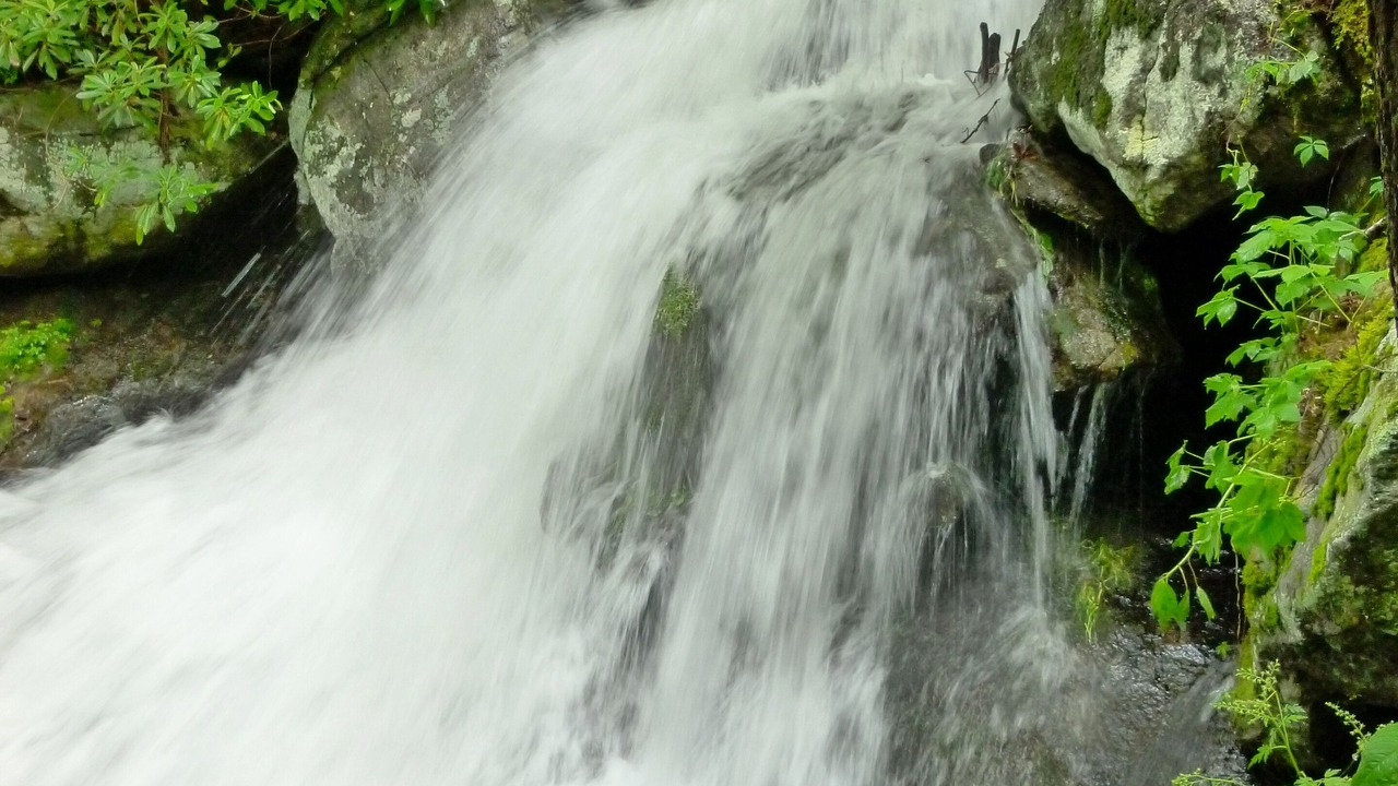 Photo of Others in Hot Springs