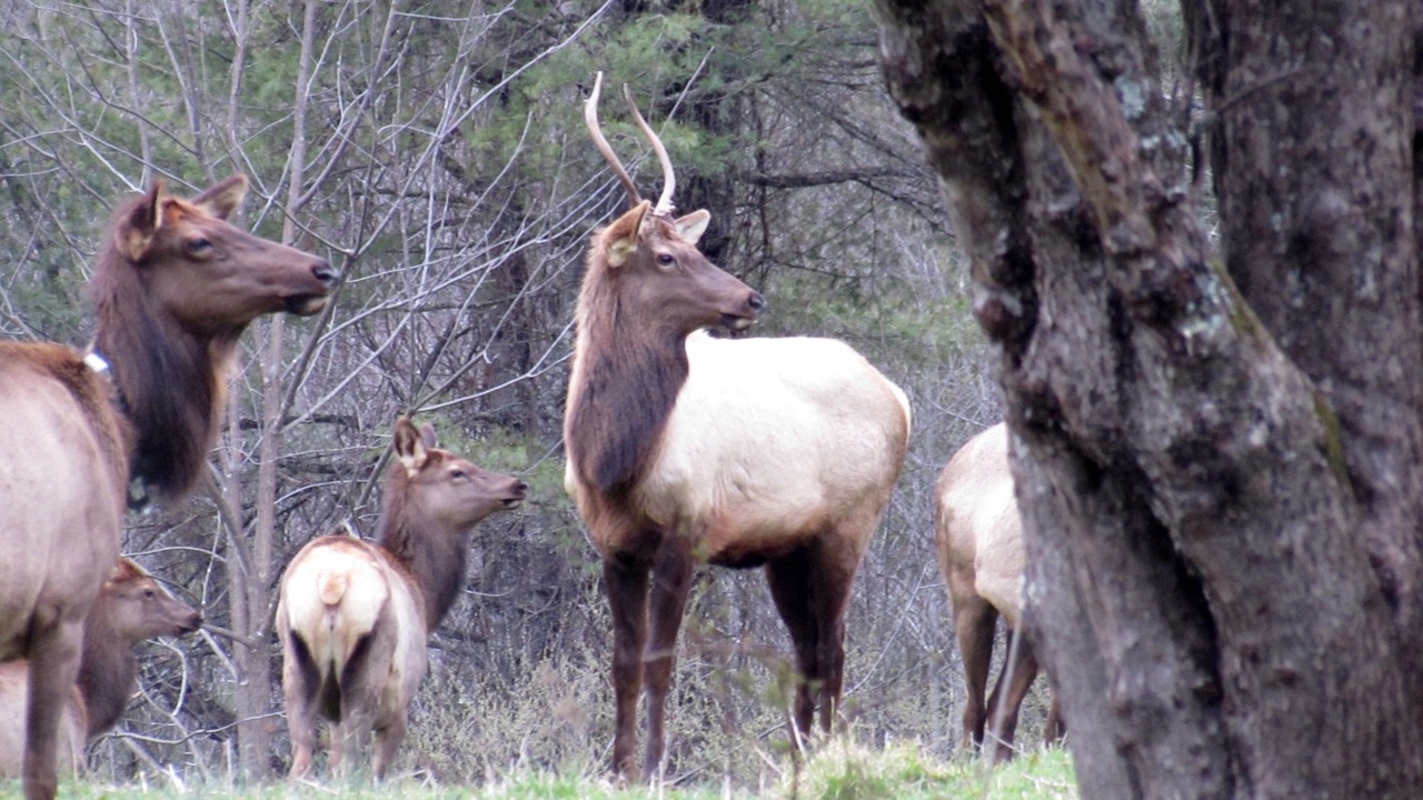 Photo of Others in Hot Springs