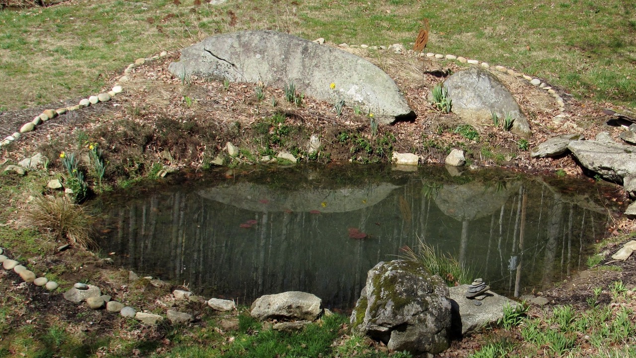 Photo of Others in Hot Springs