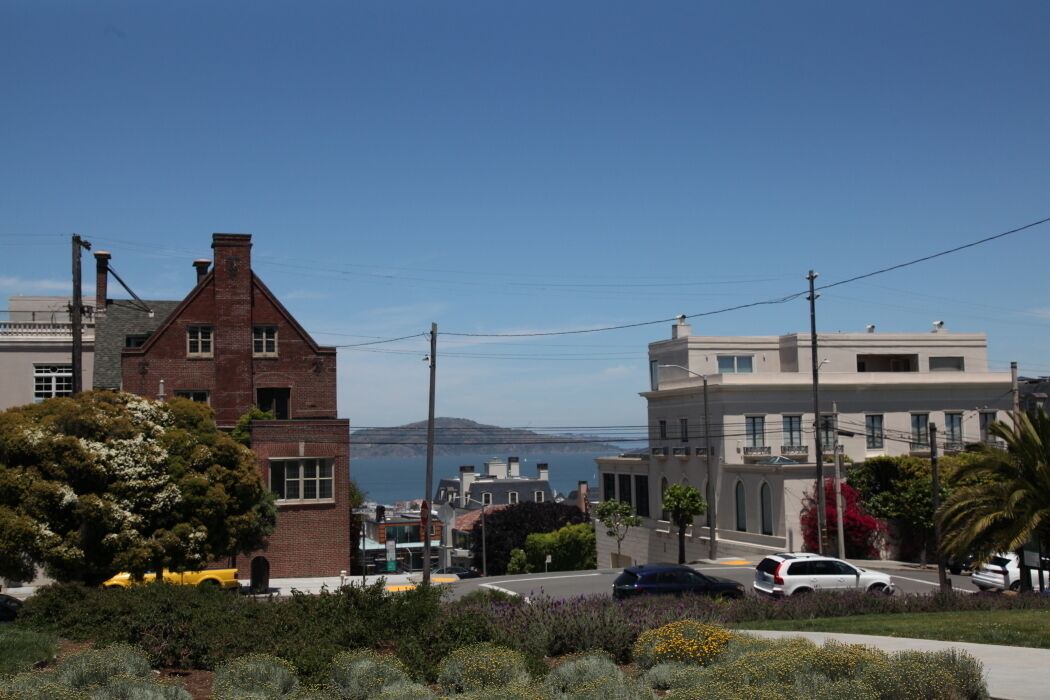 Photo of Others in Lower Pacific Heights