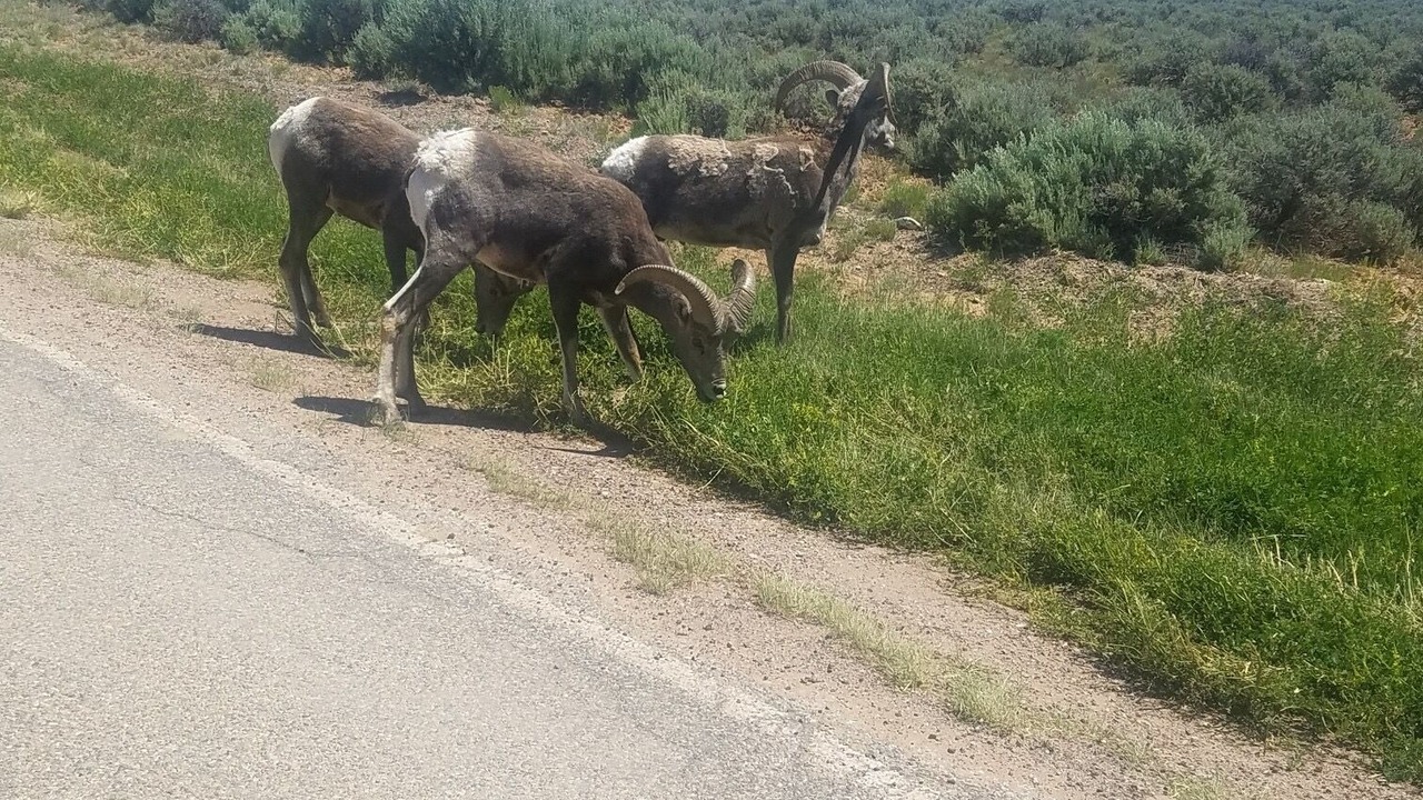 Photo of Outdoor in Carson