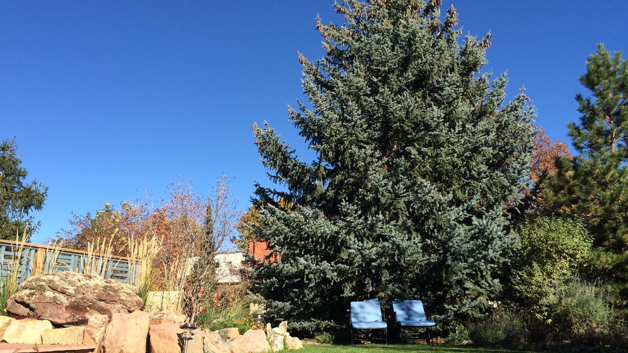 Photo of Outdoor in Old North Boulder