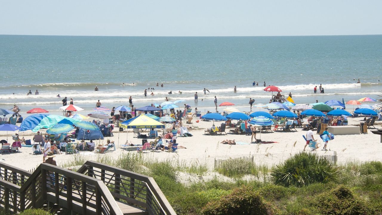 Photo of Others in Sea Pines