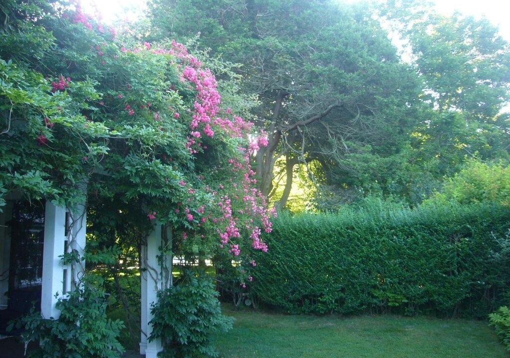 Photo of Outdoor in Sagaponack