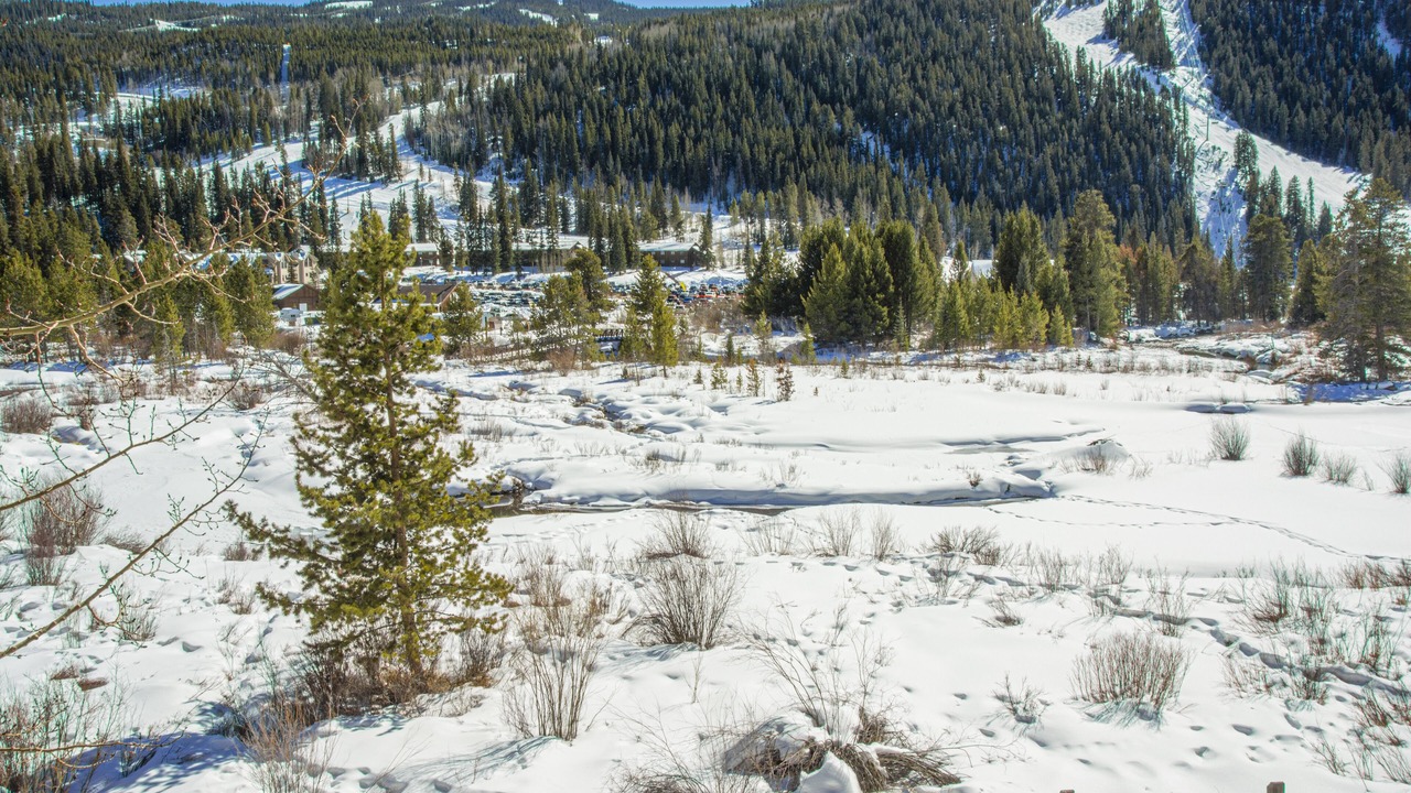 Photo of Others in Mountain House