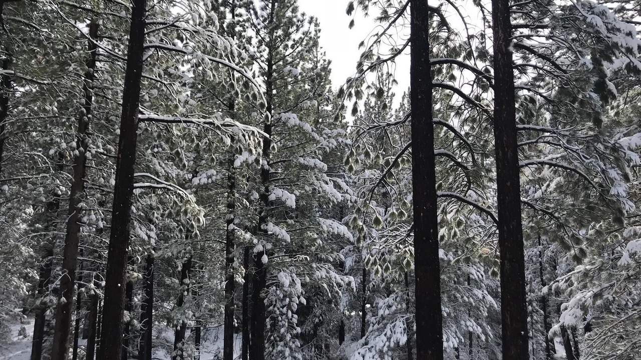 Photo of Others in North Upper Truckee