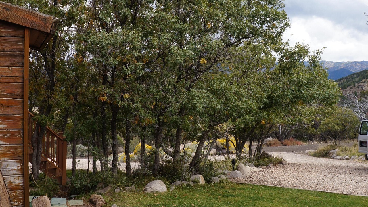 Photo of Outdoor in Pine Valley