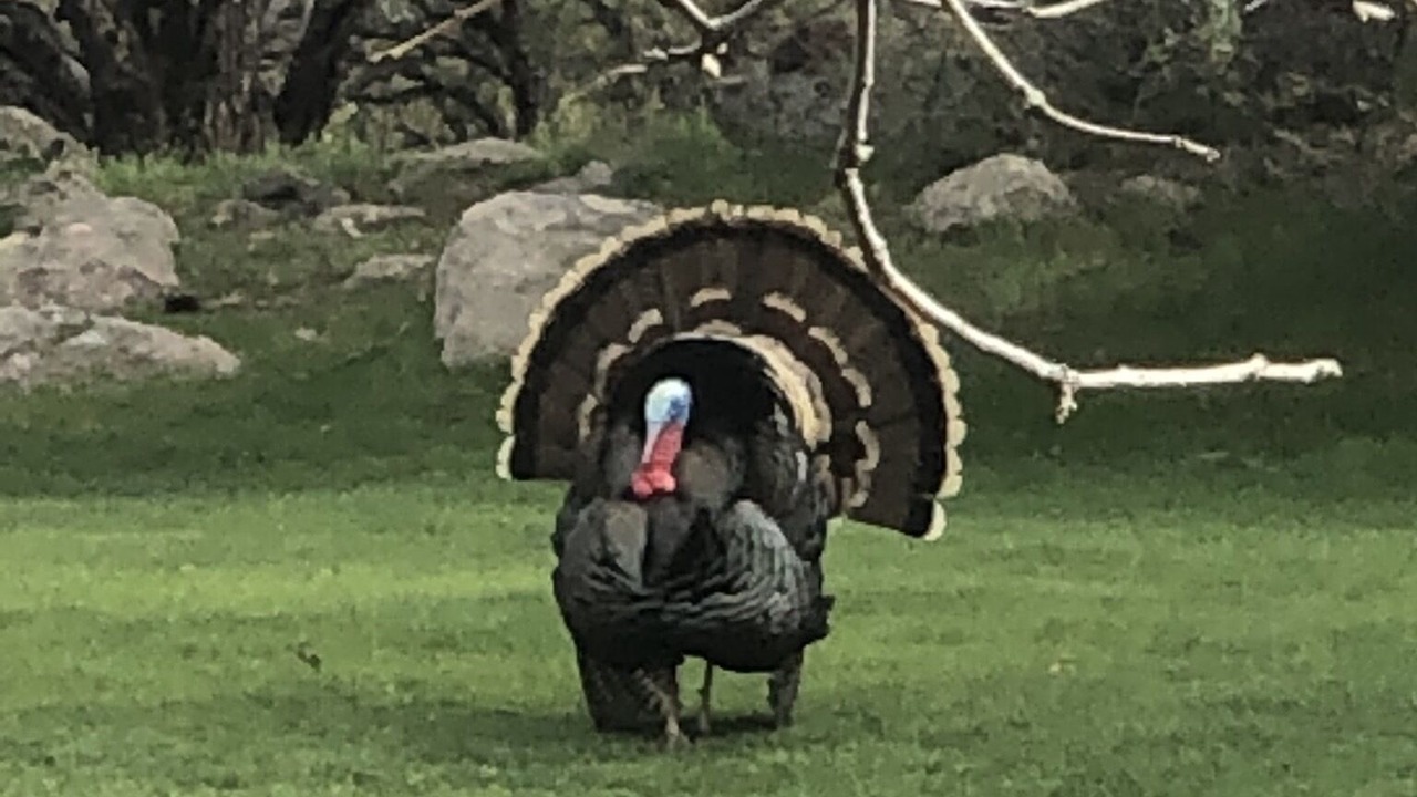 Photo of Outdoor in Pine Valley