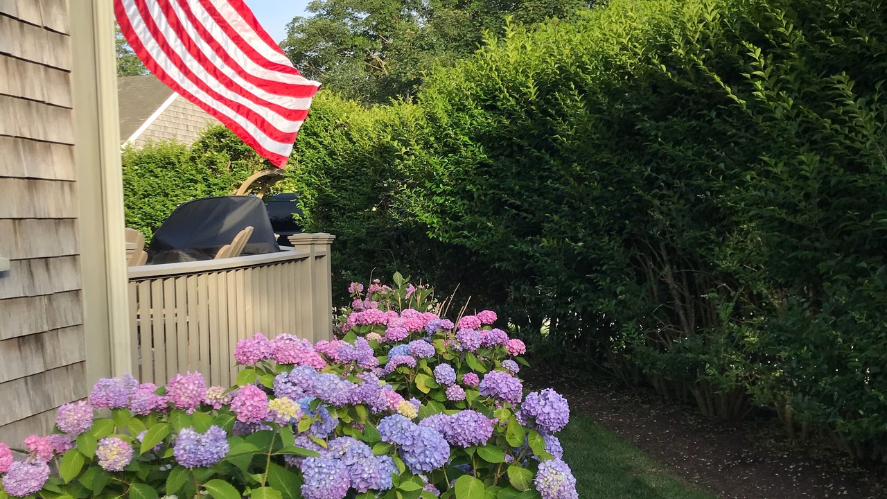 Photo of Others in Nantucket Town