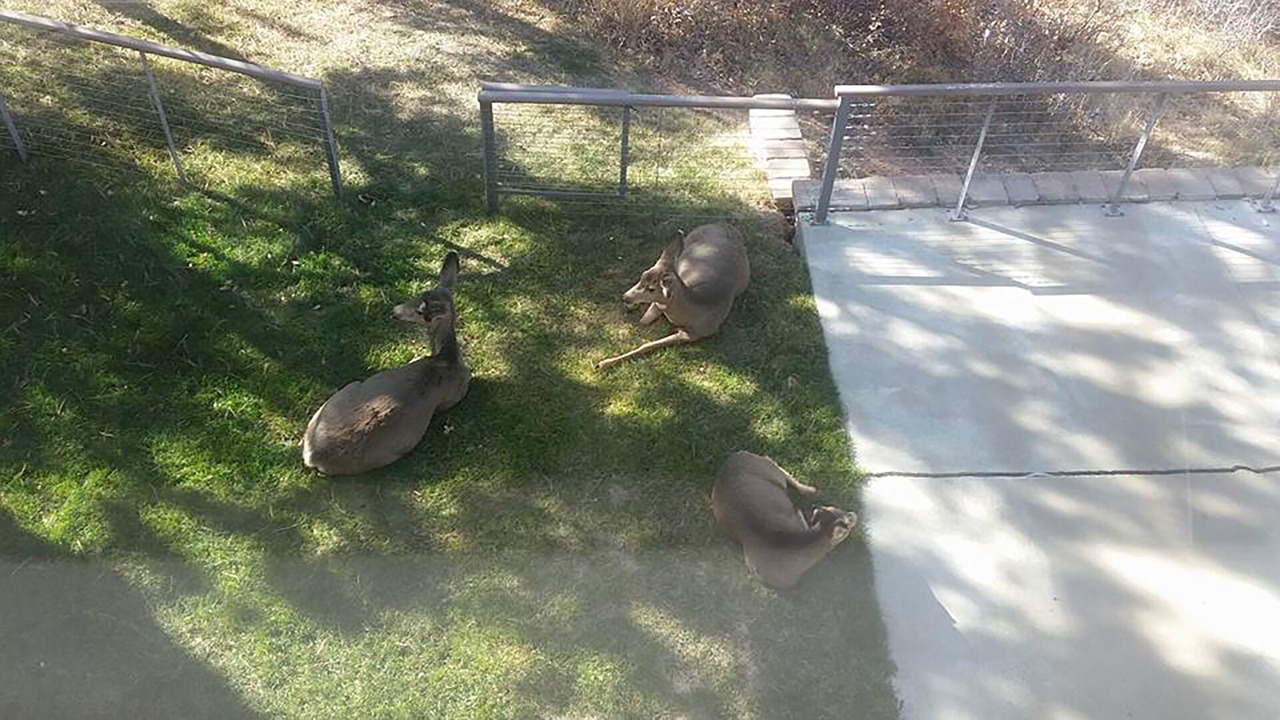 Photo of Others in Perry Park