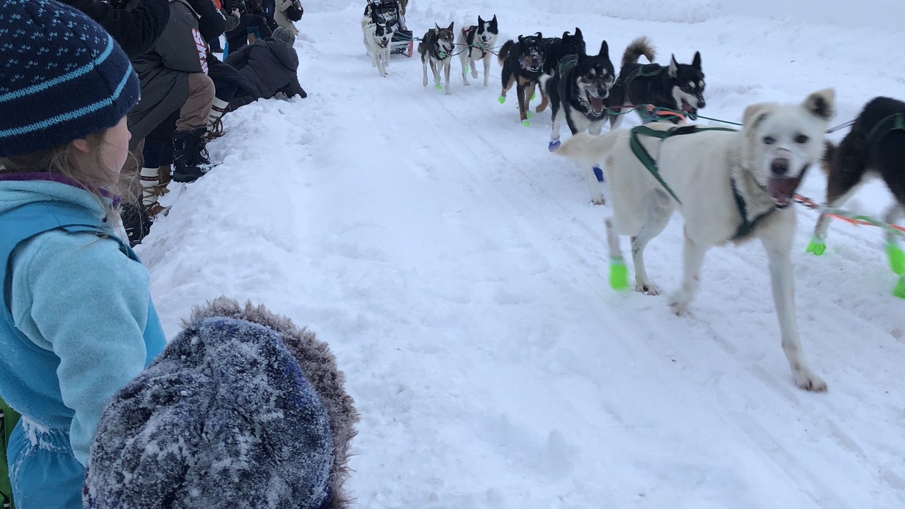 Photo of Others in Grand Marais