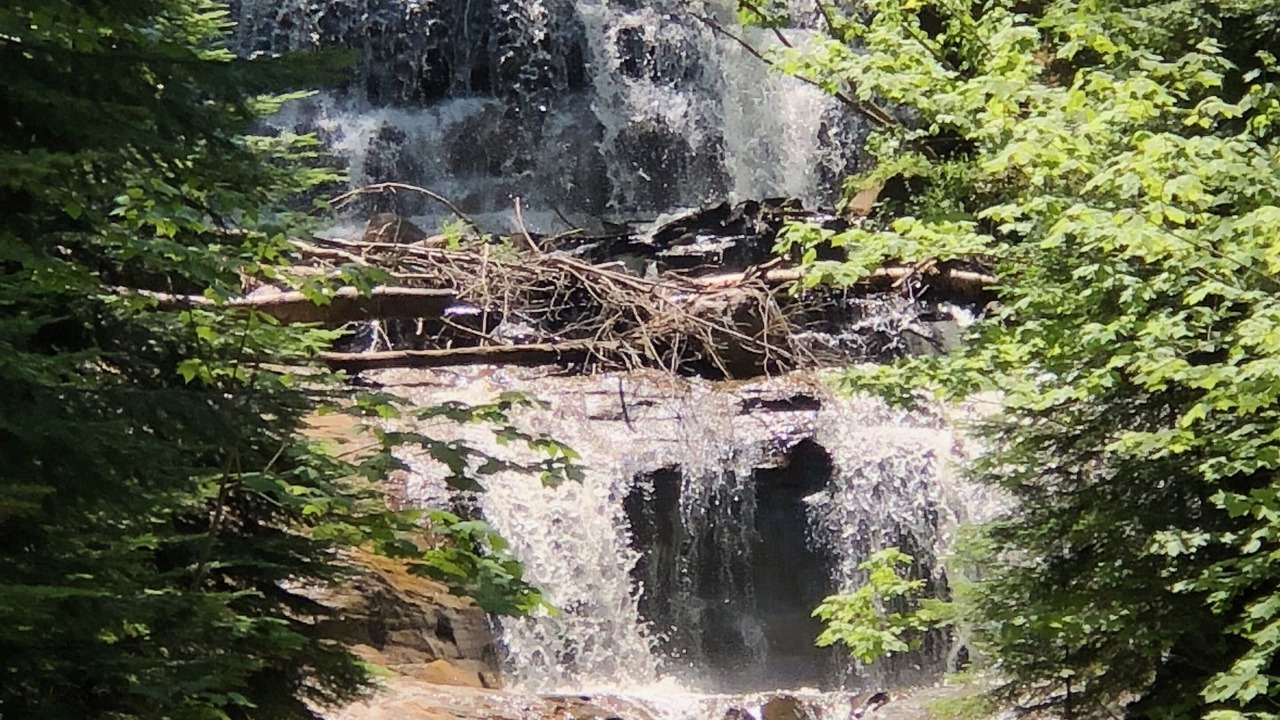 Photo of Others in Grand Marais