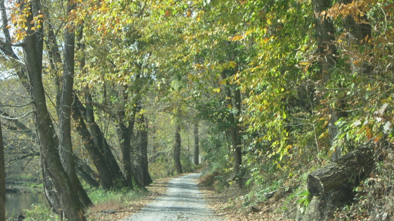 Photo of Others in Johnson City