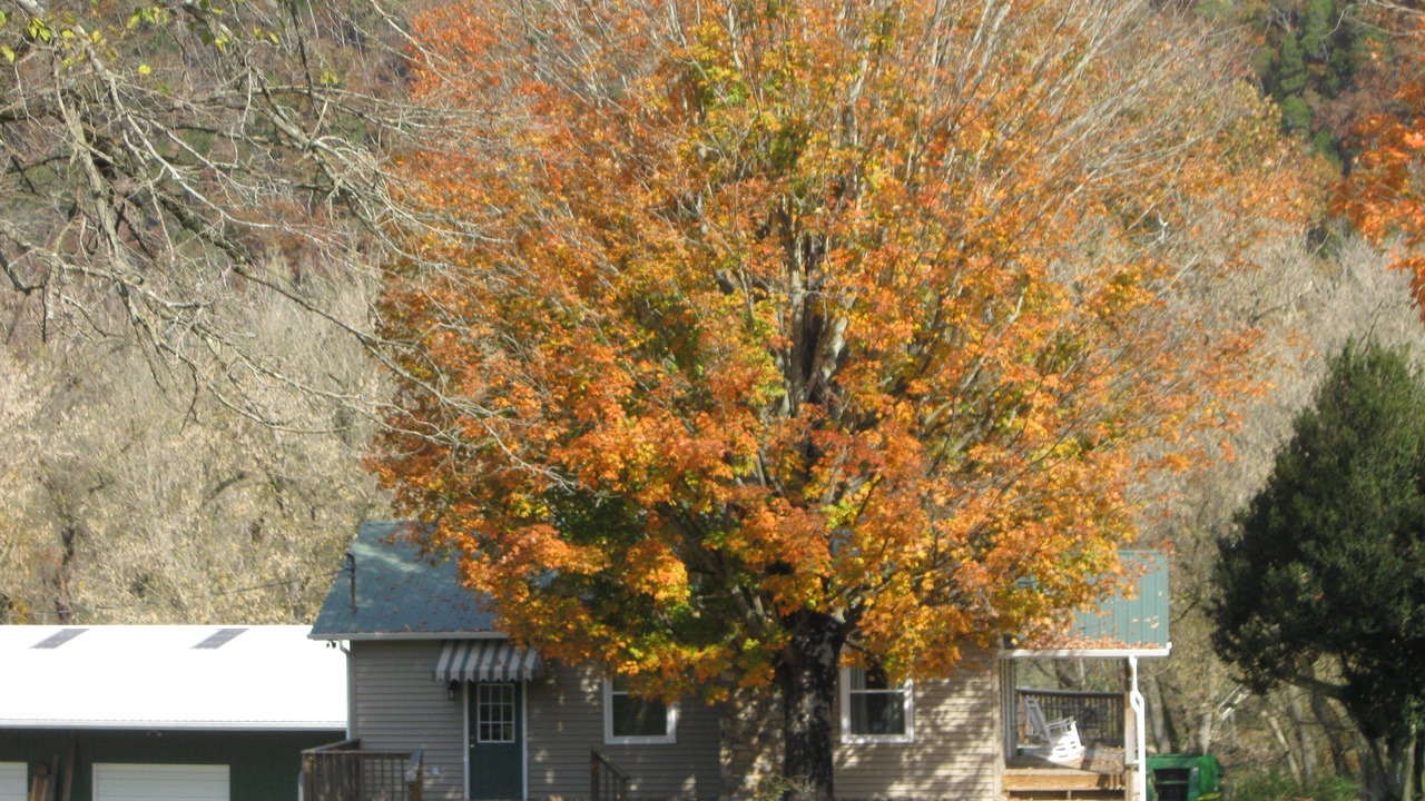 Photo of Others in Johnson City