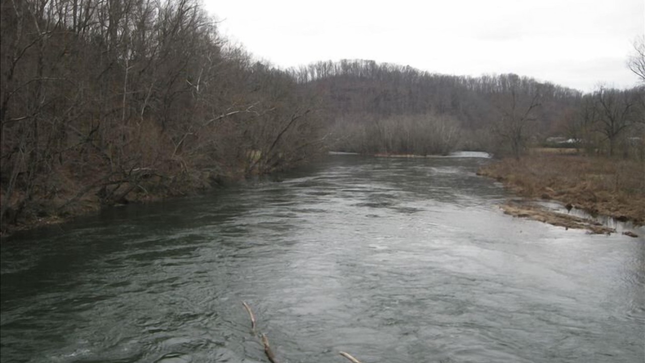 Photo of Others in Johnson City