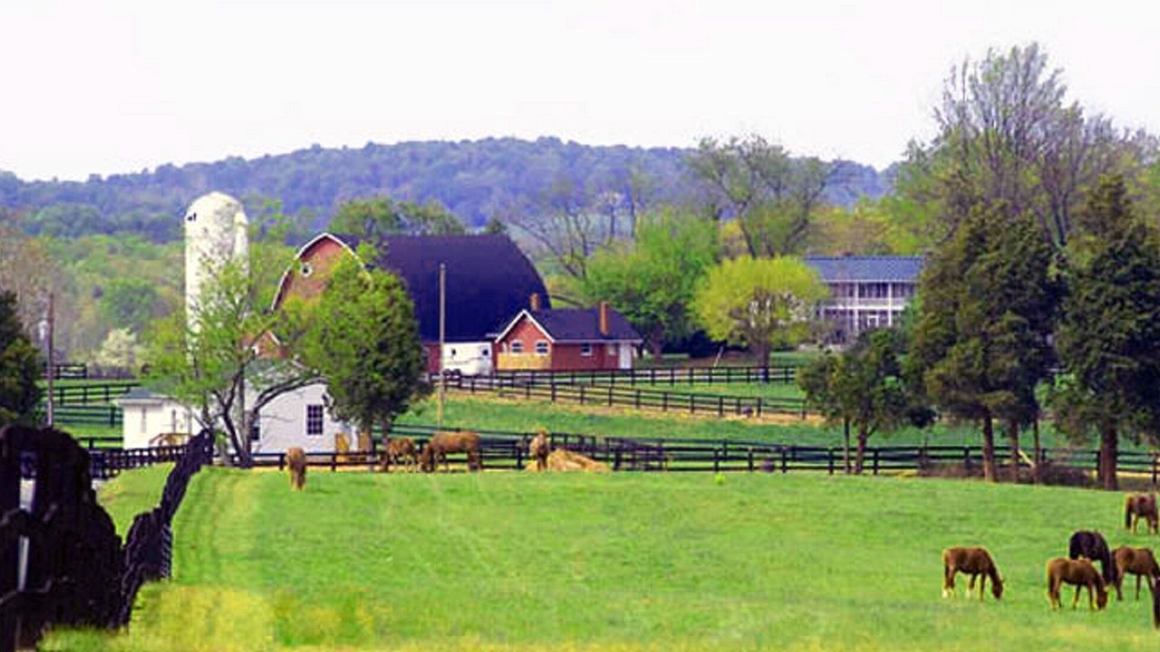 Photo of Others in Gordonsville