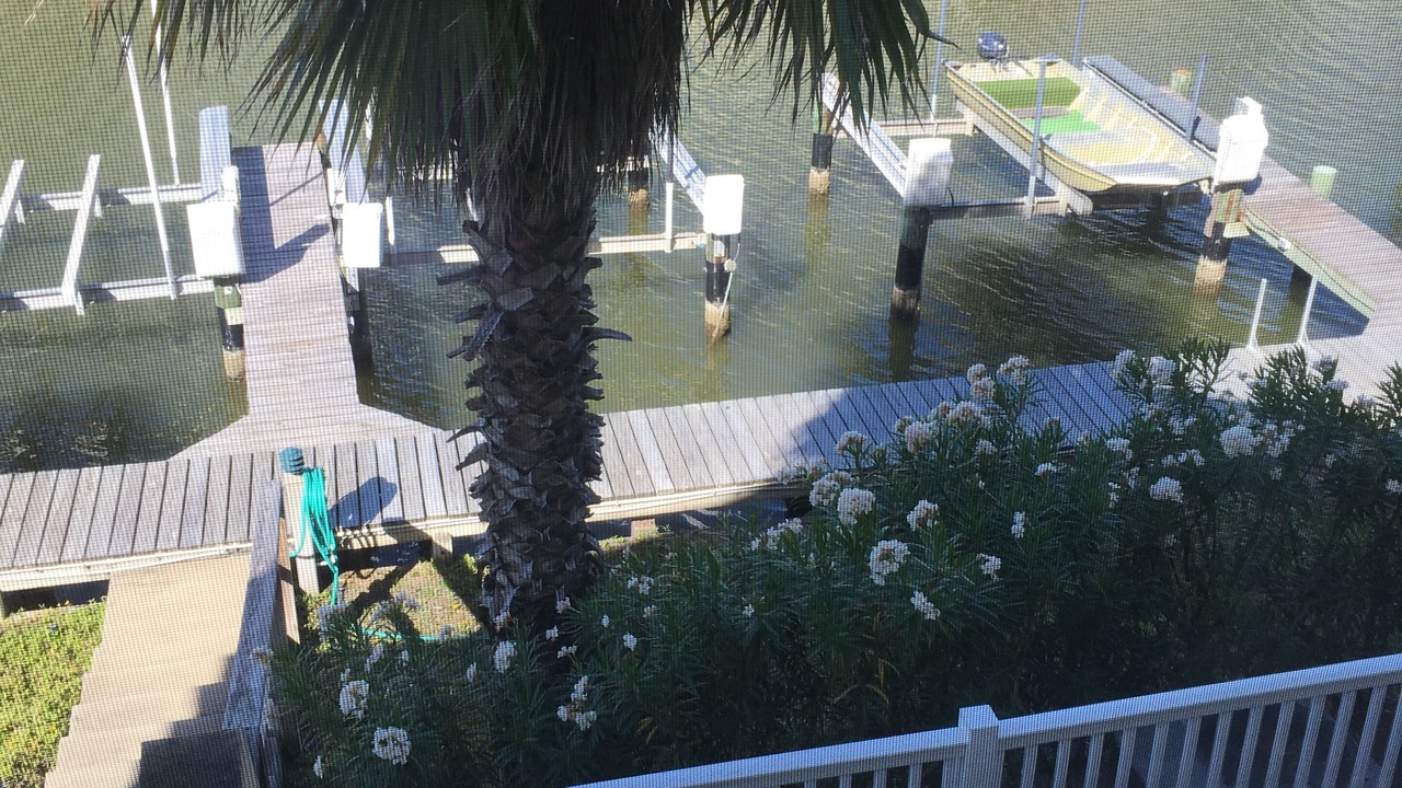 Photo of Others in Laguna Vista