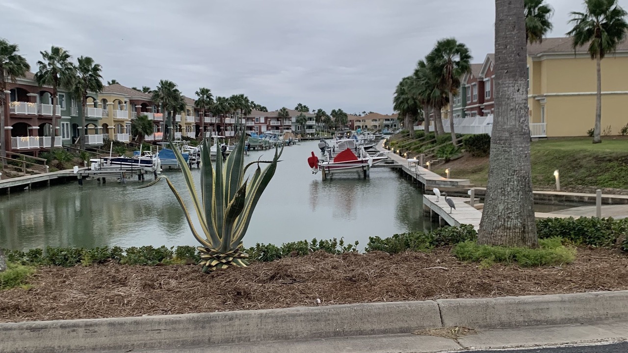 Photo of Others in Laguna Vista