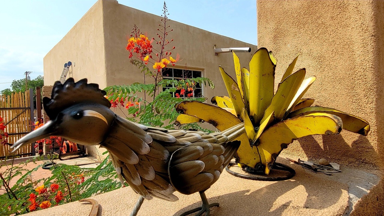 Photo of Outdoor in Mesilla