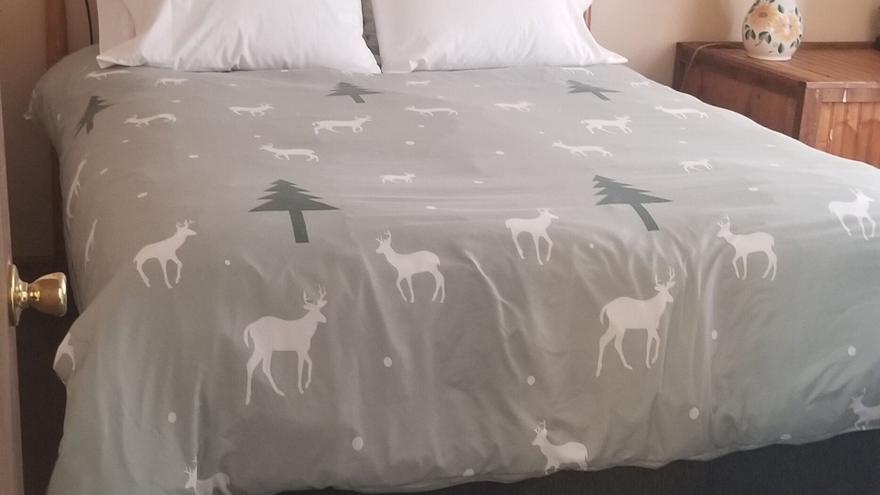Photo of Bedroom in Grand Lake