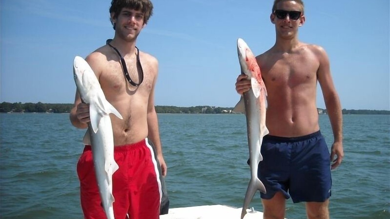 Photo of Others in Folly Field