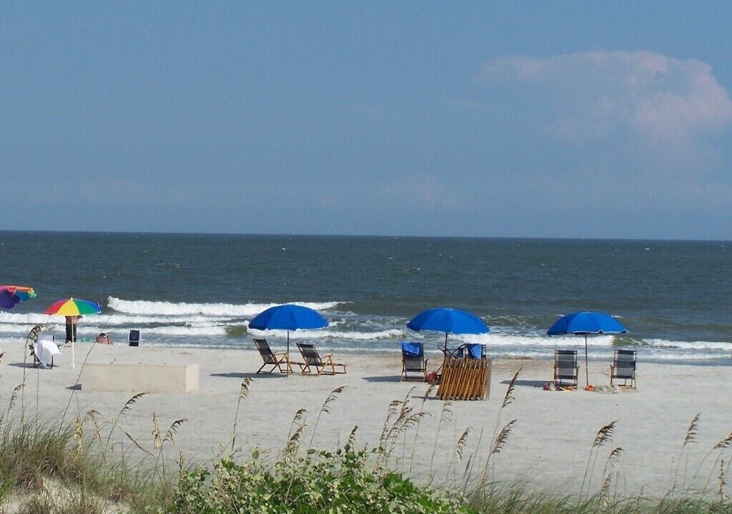 Photo of Others in Folly Field