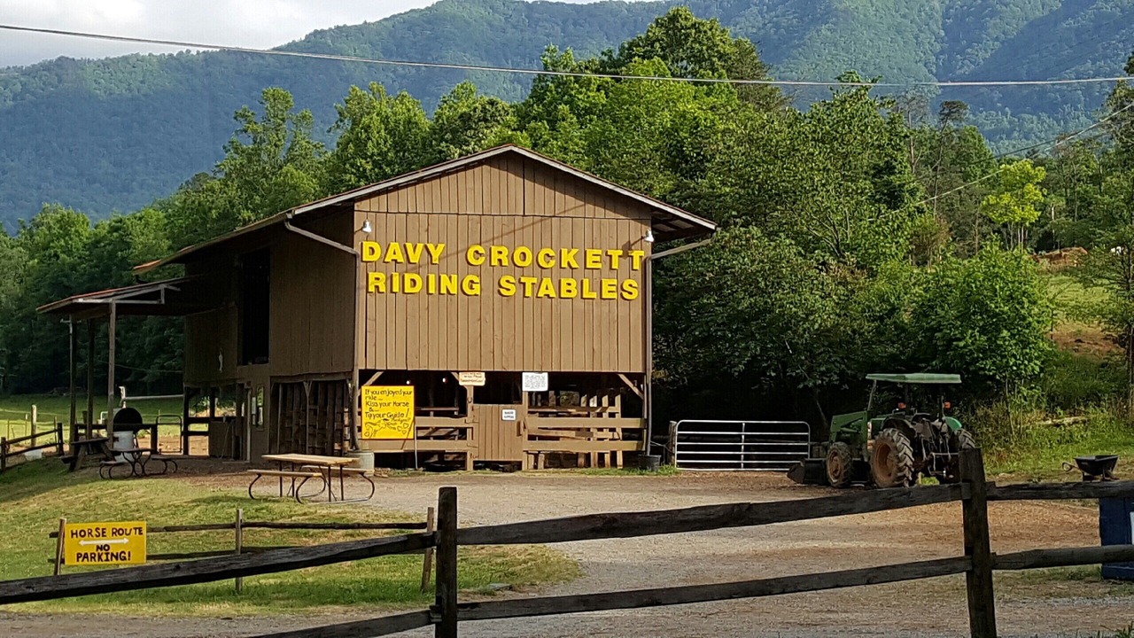 Photo of Others in Townsend