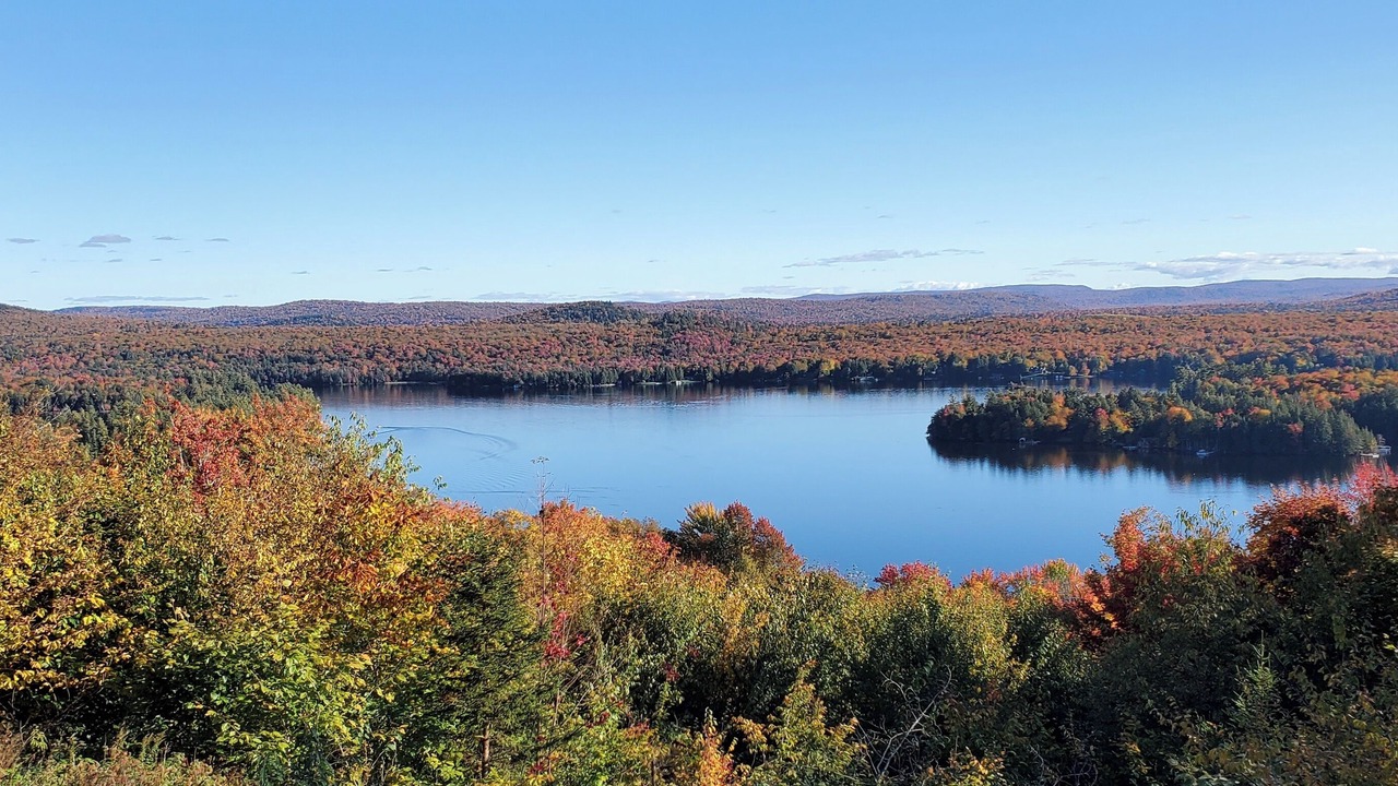 Photo of Others in Old Forge