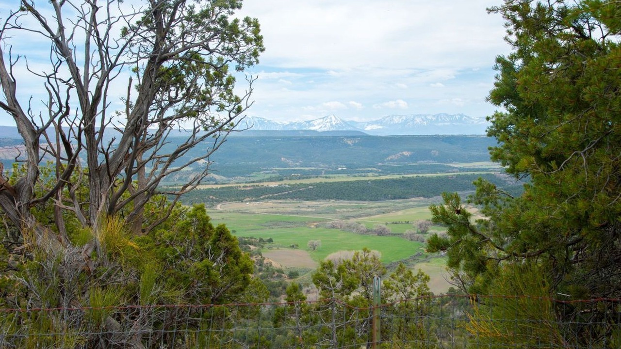 Photo of Others in Cedaredge
