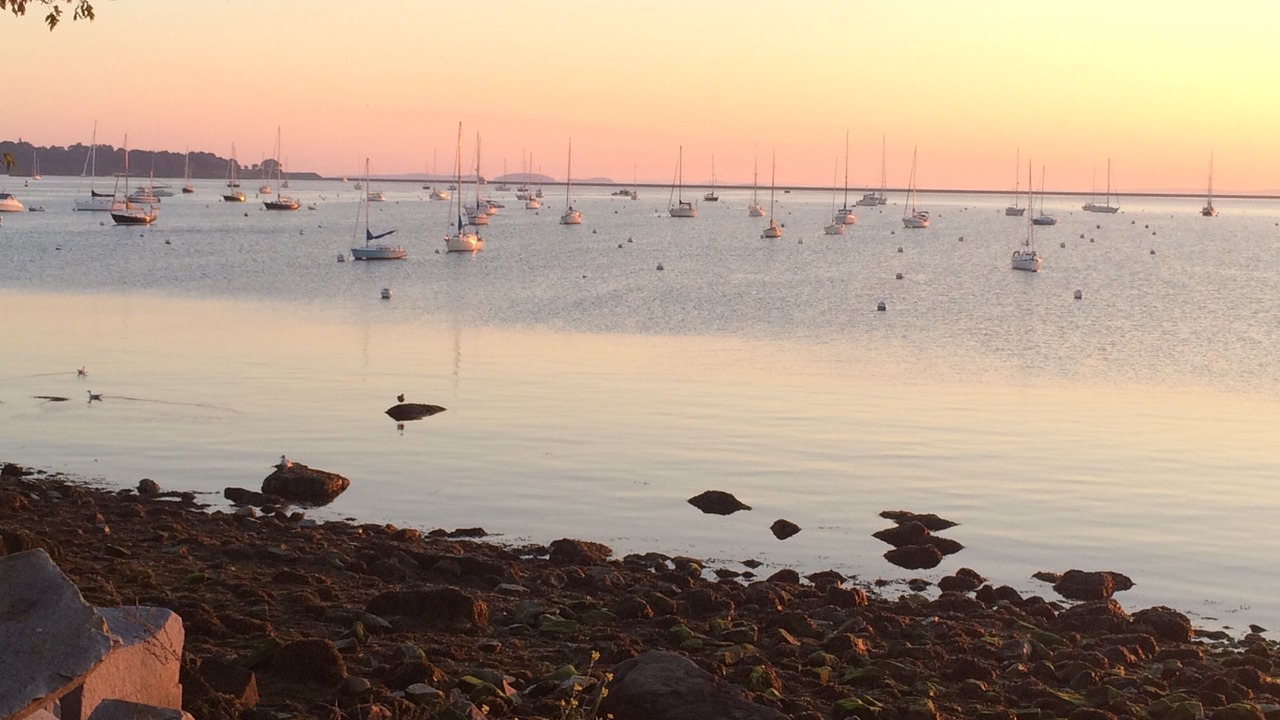 Photo of Others in Rockland