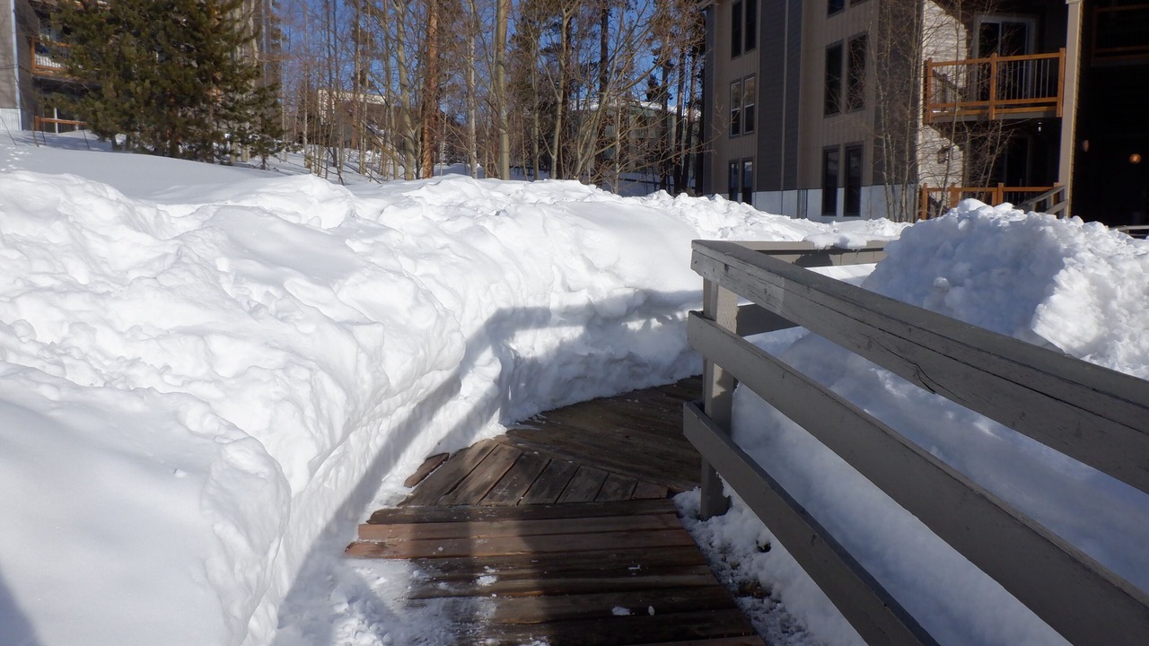 Photo of Outdoor in Wildernest