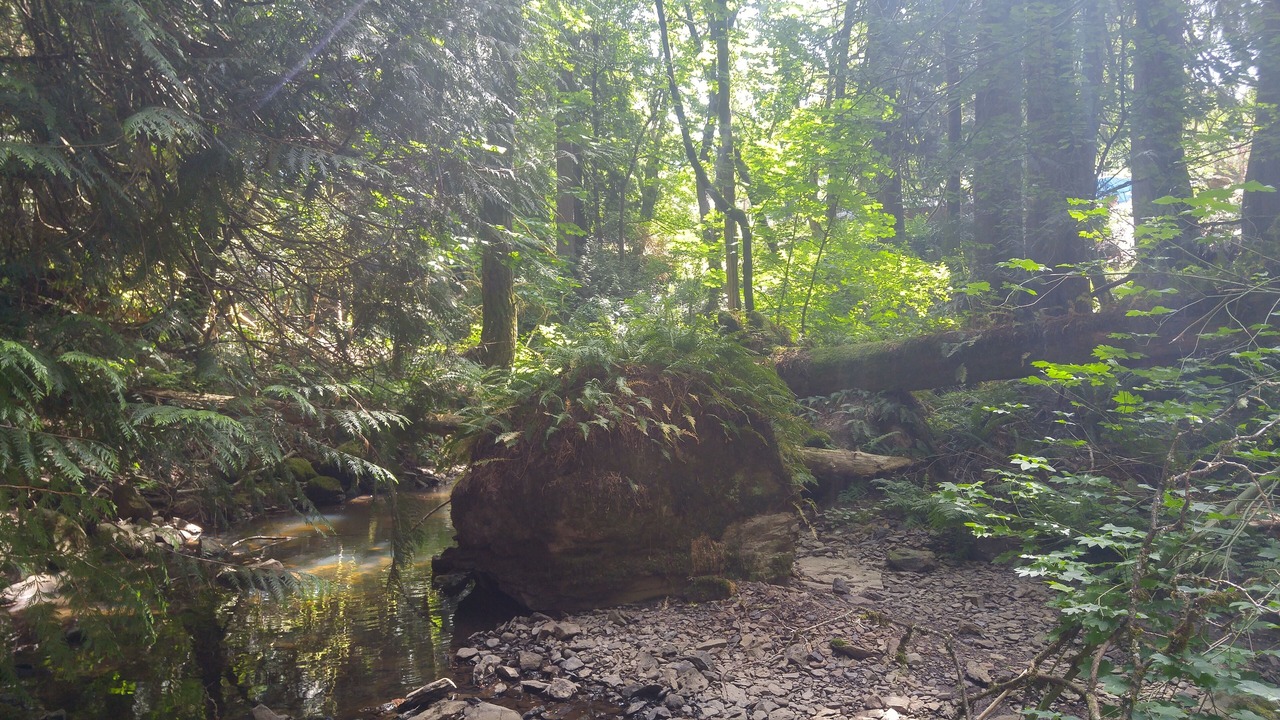 Photo of Outdoor in Happy Valley