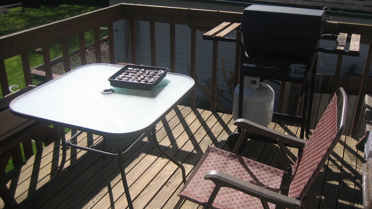 Photo of Others in Mukilteo