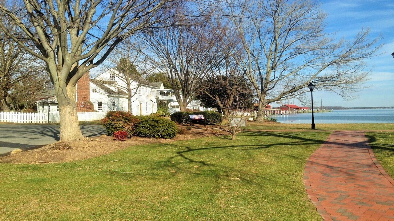 Photo of Others in St. Michaels