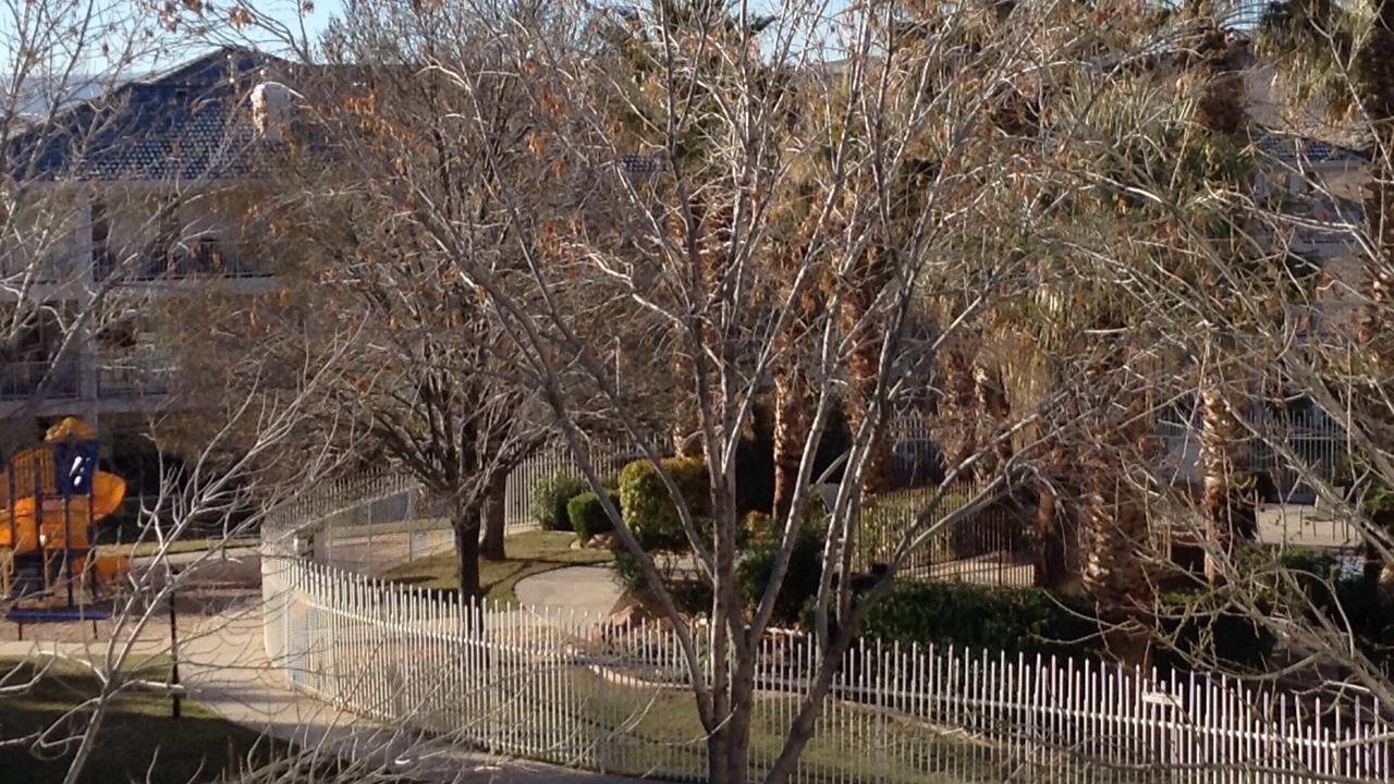 Photo of Others in St. George