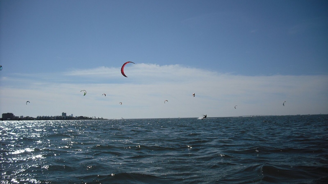 Photo of Others in South Padre Island