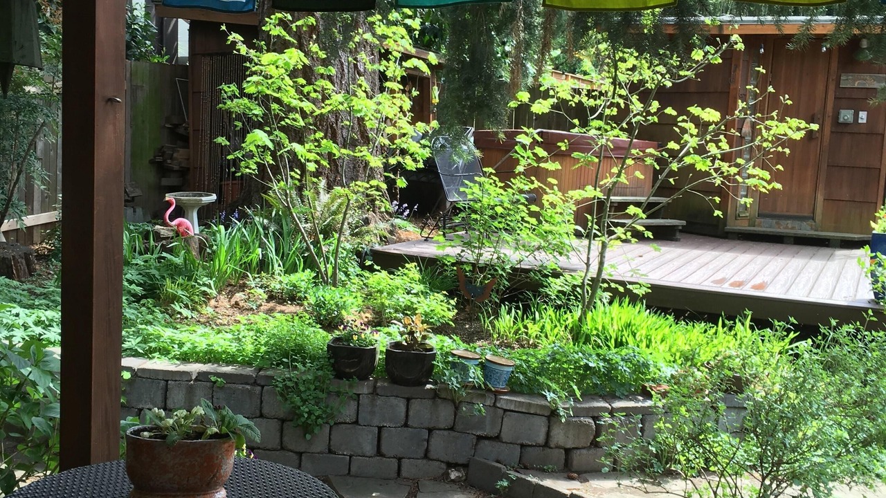 Photo of Outdoor in Mount Tabor
