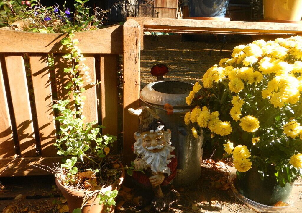 Photo of Outdoor in Mount Tabor