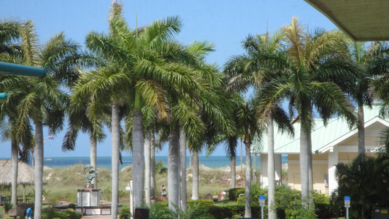 Photo of Others in Marco Island