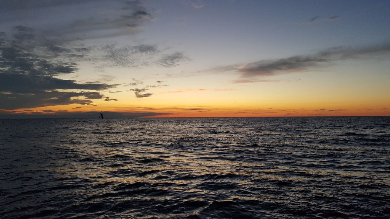 Photo of Others in South Haven