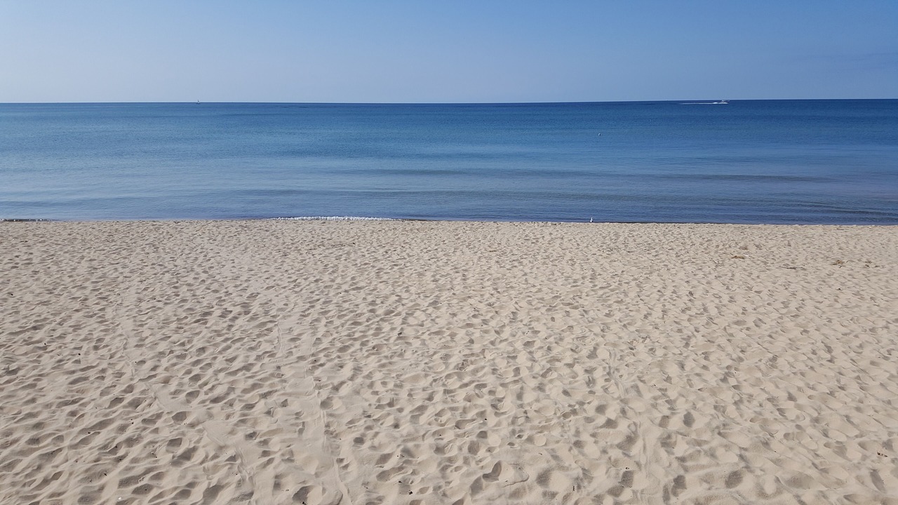 Photo of Others in South Haven