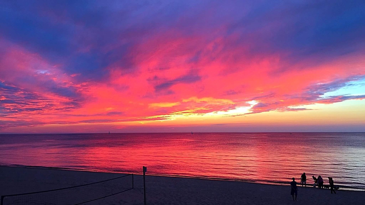 Photo of Others in South Haven
