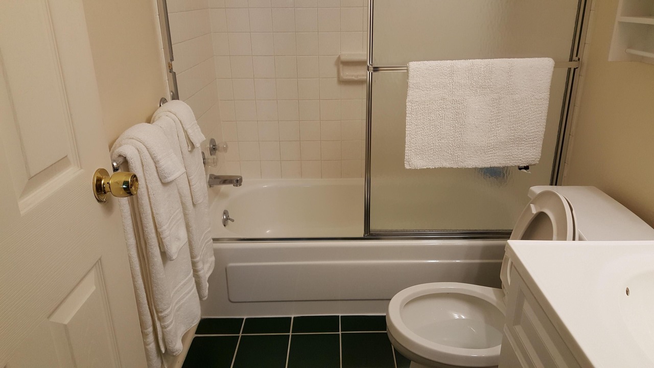 Photo of Bathroom in South Haven