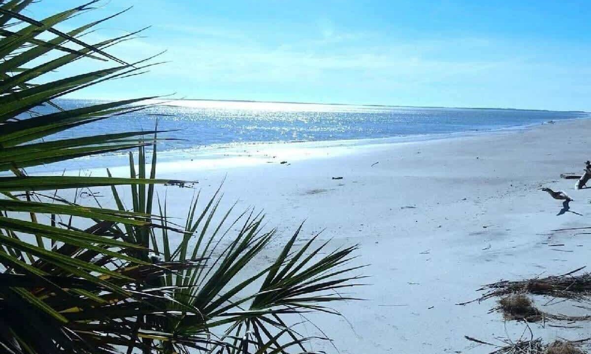 Photo of Others in Melrose on the Beach
