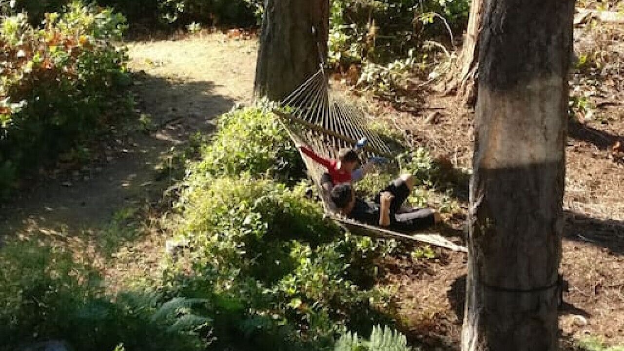 Photo of Others in Lopez Island